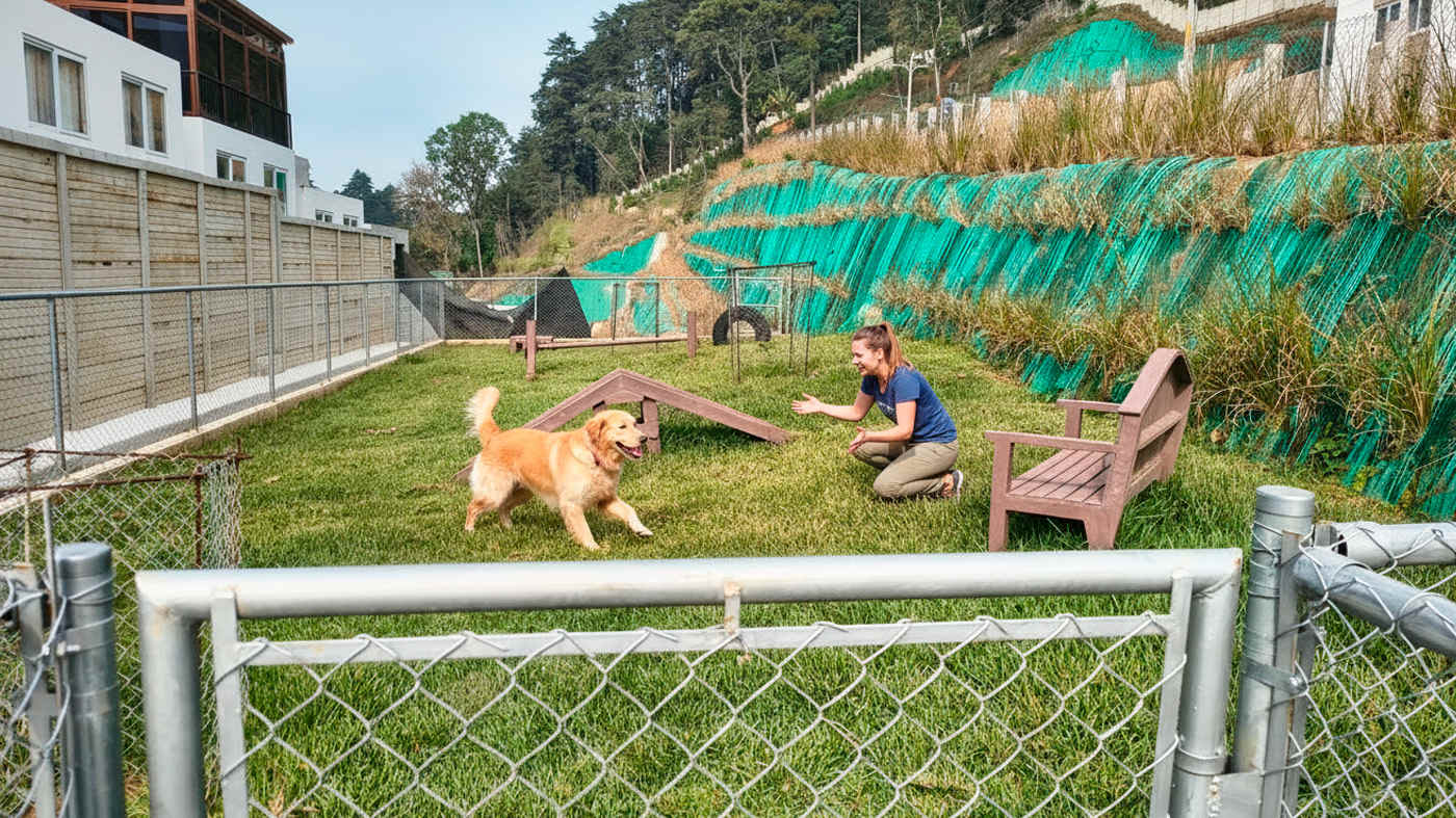 Pet Park — Terramont San José